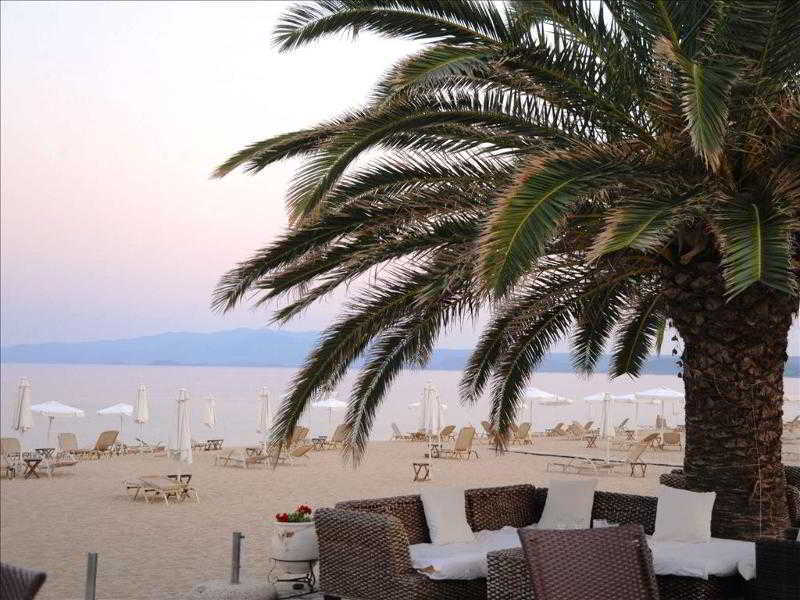 Assa Maris Otel Halkidiki Dış mekan fotoğraf